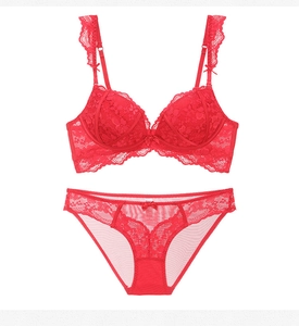 Detail view of red lace lingerie set featuring intricate floral patterns and mesh fabric