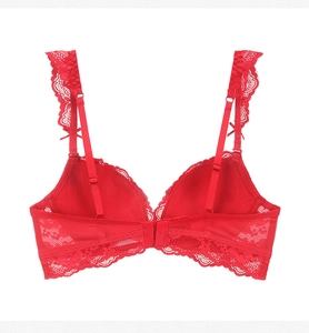 Detailed back view of red lace bra featuring mesh panels and adjustable straps