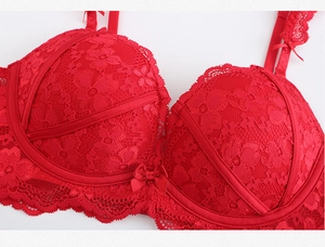 Detail of red floral lace bra showing satin piping and delicate bow on the bridge