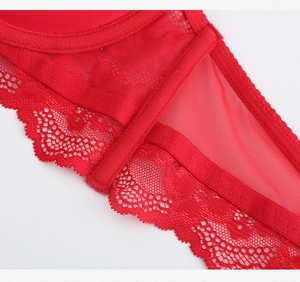Detail of red lace lingerie featuring intricate floral embroidery and sheer mesh fabric