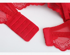 Detailed macro view of the four-row triple-hook closure on the red lace bra