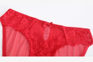 Detail view of red lace mesh panties with floral embroidery and a satin bow detail