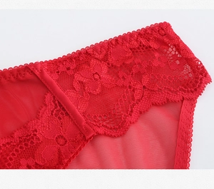 Detailed macro view of delicate red floral lace and breathable mesh on bikini panties