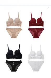 Detailed color display of sexy deep V lace bra and panty sets in four classic shades