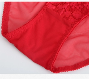 Detailed macro view of red floral lace and breathable mesh fabric on sexy panty edges