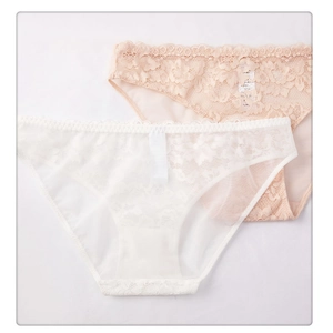 Detail view of the fine floral lace and sheer mesh fabric of women's low-waist panties