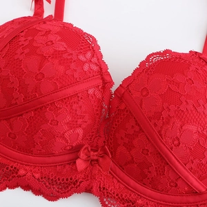 Elegant red lace push-up bra featuring delicate floral patterns and a satin center bow