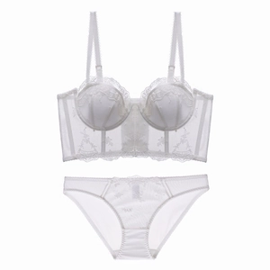 Detail of white lace lingerie set with longline floral embroidery bra and matching briefs