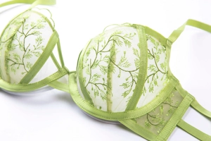 Detail of light green mesh bra featuring intricate leaf embroidery and reinforced seams