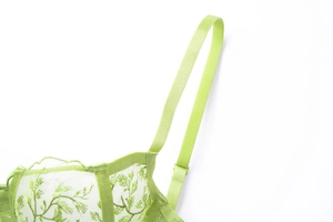 Detailed macro view of the delicate light green floral embroidery on sheer mesh cups