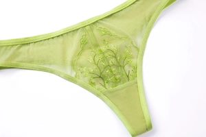 Detail of light green G-string with delicate floral embroidery on sheer mesh fabric