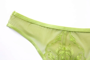 Detailed close-up of light green sheer mesh panties with delicate floral embroidery