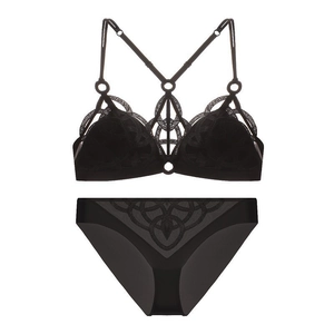 French Style Lace Embroidery Mesh Sexy Bra And Panty No Wire Triangle Cup Hollow Out Beautiful Back Women Underwear