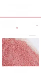 Détail de la dentelle cil rose avec des motifs de broderie florale sophistiqués