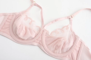 Detail of light pink lace mesh bra showing intricate embroidery and adjustable gold rings