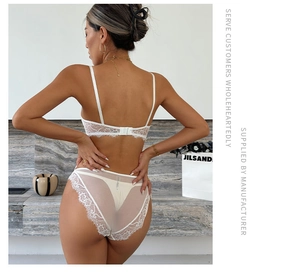 Detail of white lace lingerie set back view showing eyelash lace and sheer mesh fabric