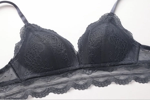 Detailed view of dark grey French lace bra with intricate floral patterns and mesh wings