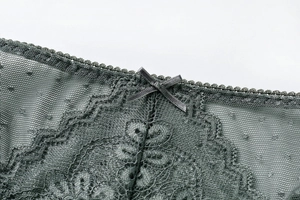 Dettaglio di slip in pizzo grigio con ricami floreali, tessuto a rete e un fiocco di seta