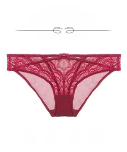 Détails de culotte en dentelle rouge avec maille transparente et broderie florale