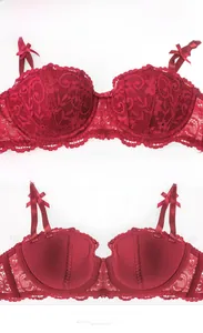 Vue détaillée des bonnets en dentelle rouge et de la doublure en coton doux du soutien-gorge