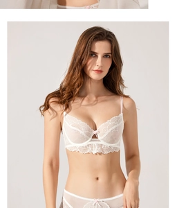 Detail of sheer white lace bra set with pink ribbon bow and mesh side wings