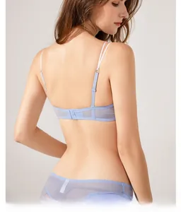 Back view detail of light blue lace lingerie set featuring sheer mesh and thin double straps