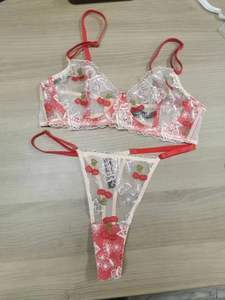 Detail of red cherry embroidery on sheer white lace mesh lingerie set with straps