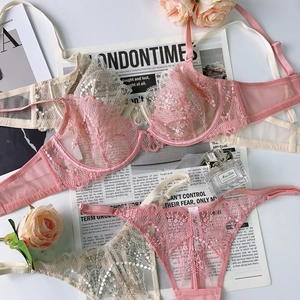 Detailed close-up of French-style lace embroidery and sheer mesh on lingerie set