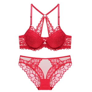 Sexy Floral Lace Bra And Panty For Women Front Closure Deep V Gathering Lingerie With Beautiful Back Lace Underwired Bra Suit