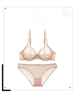 Detailed view of sheer mesh lace bra and panties set with a delicate bow in beige color
