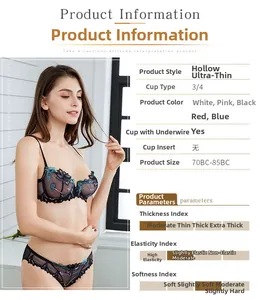 Detail of sheer mesh embroidery lace lingerie set with ultra-thin floral cups