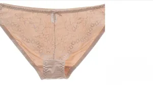 Detail of nude lace briefs featuring intricate water-soluble floral patterns and V-cut