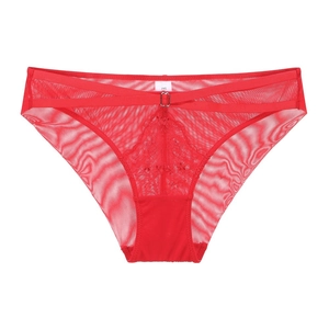 Detail der roten Spitzenunterwäsche mit transparentem Mesh und dekorativem Metallschnalle