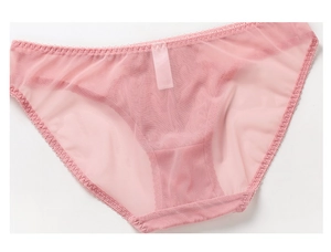 Detailed macro view of light pink sheer mesh underwear with delicate lace trim on edges