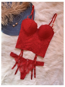 Détail d'un ensemble de lingerie en dentelle rouge avec jarretelles sur peluche