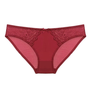 Women's Sexy Lace Panties Embroidered Low Waist Briefs Silky Mesh Underwear With Bow Decor Comfy Cotton Crotch Plus Size