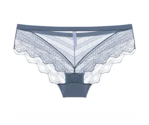 Lace detail on blue-grey high-cut briefs with delicate floral patterns and mesh texture