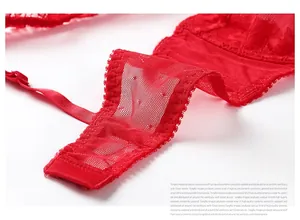 Detailed macro view of red floral lace embroidery and sheer mesh fabric on bra wings