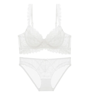 Detail view of white lace lingerie set with floral embroidery and mesh details