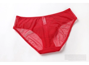 Detail of red sheer mesh lace panties with micro polka dot texture and scalloped edges