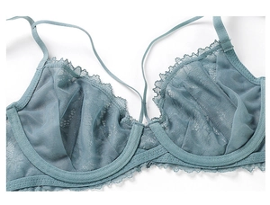 Détail de soutien-gorge en dentelle gris-bleu avec bords festonnés et tulle fin