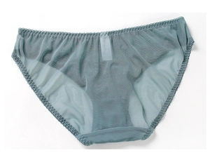 Détail de la culotte en dentelle transparente bleu-gris avec des bords festonnés