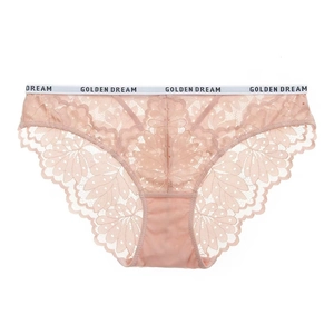 Detail view of light pink lace panties featuring a branded Golden Dream elastic waistband