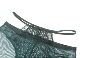 Détails de dentelle florale vert foncé et maille fine transparente sur le soutien-gorge