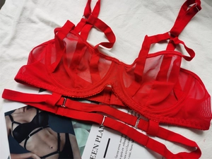 Vue détaillée d'un ensemble soutien-gorge en dentelle rouge avec lanières et armatures