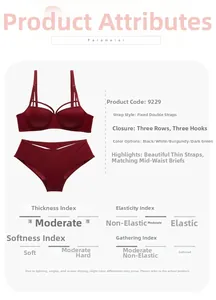 Detail view of burgundy push-up bra set showing triple row hook-and-eye back closure