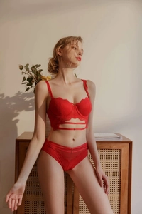 Detail of red lace lingerie set featuring delicate eyelash trim and strappy hollow accents