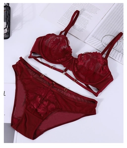Detailed close-up of dark red lace embroidery bra set with mesh panties and gold hardware