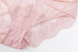 Close-up of light pink lace panties featuring fine floral mesh and scalloped edges