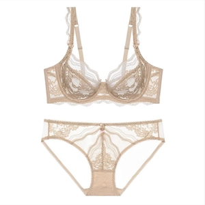 Elegant champagne lace lingerie set with wired push-up bra and sheer mesh panty